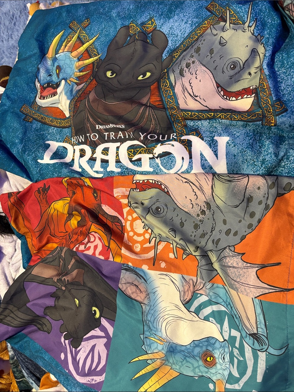 How to Train Your Dragon pillow cases x 2